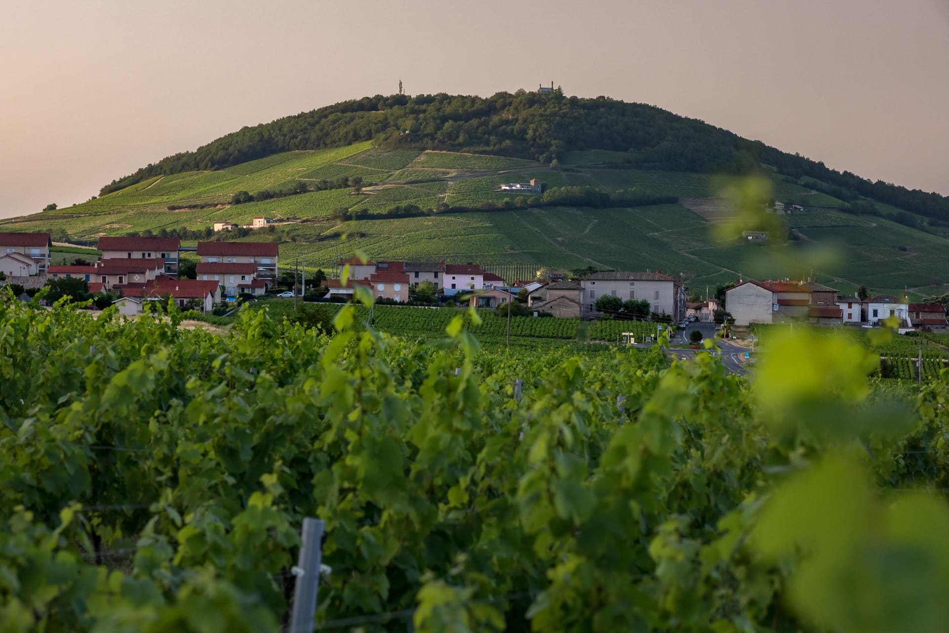 6-L_appellation-Côte-de-Brouilly.jpg