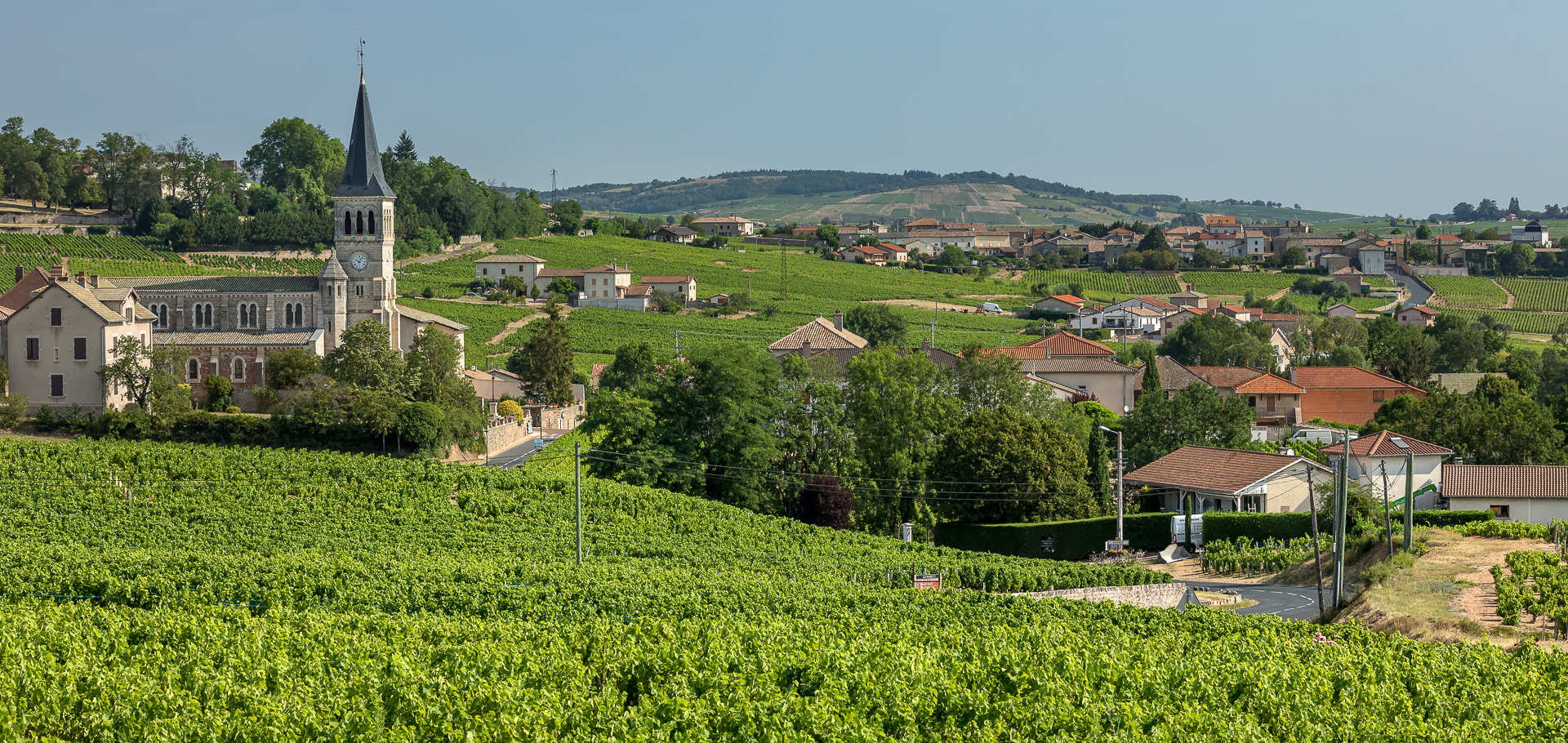 appellation-Chenas.jpg